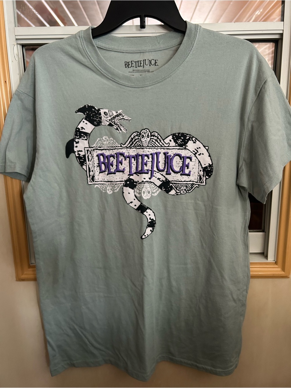 Beetlejuice Graphic Tee in Light Sage with Black & Purple Print